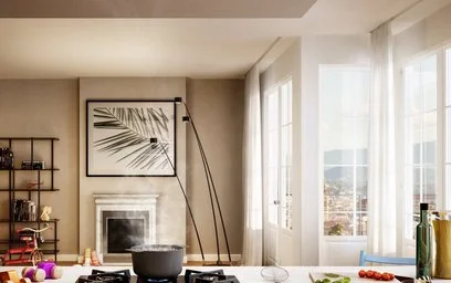 Ceiling hood