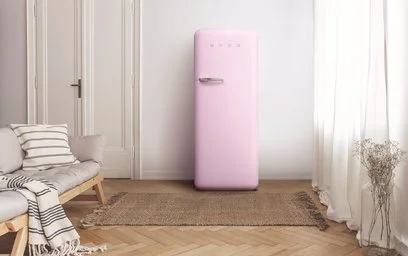 Single-door fridge